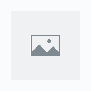 ThapliyalHomeStay logo
